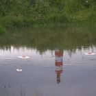 spiegeleier mit leuchtturm