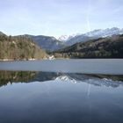 Spiegelein im Hechtsee