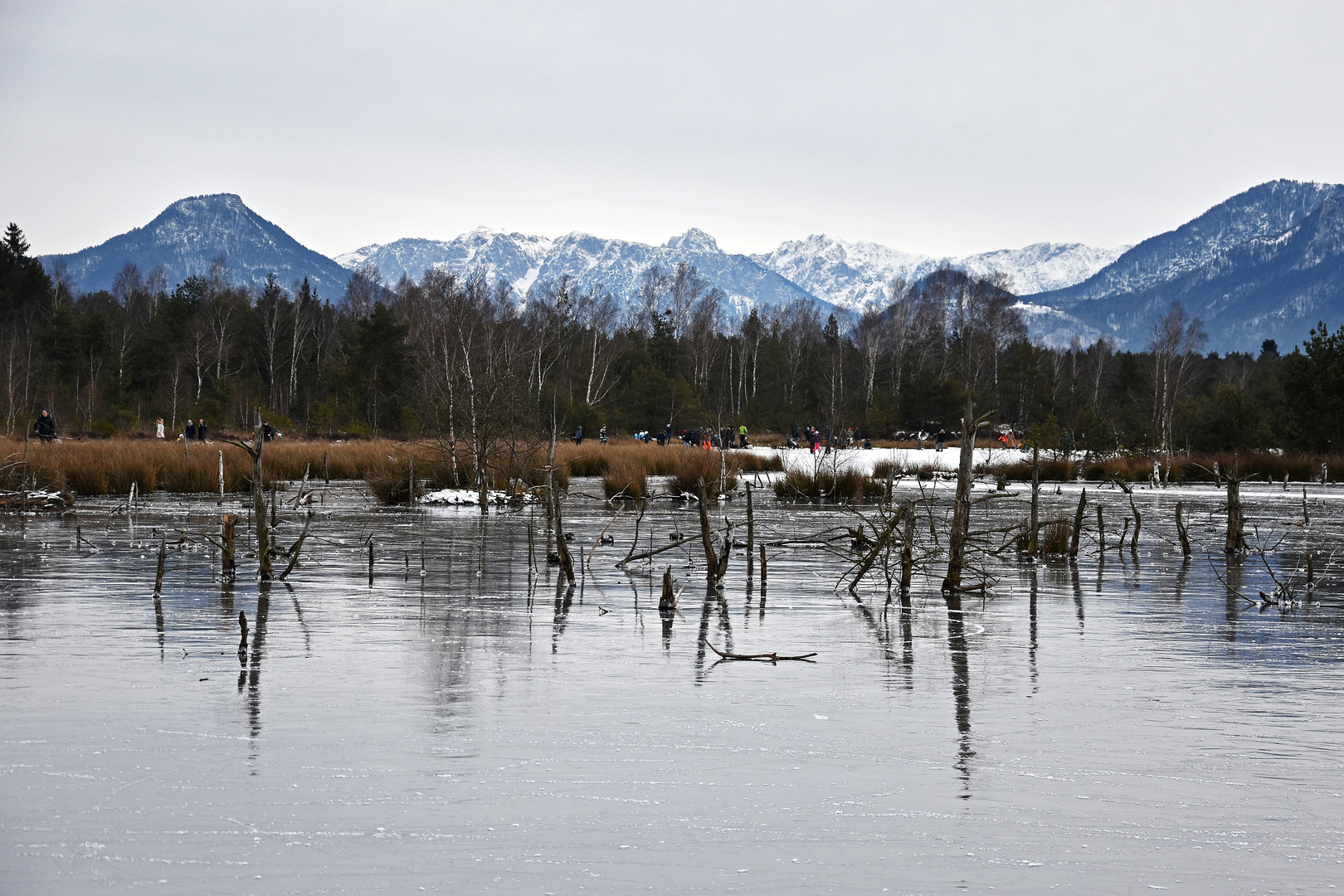 Spiegeleis im Moor