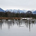 Spiegeleis im Moor