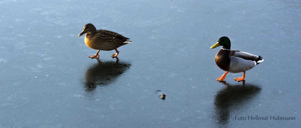 SPIEGELGLATT! EISKALT!