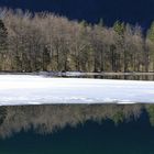 Spiegelglatt im Winter