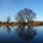 Spiegelglatter See