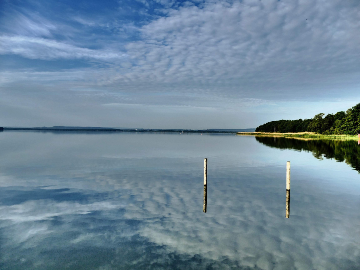 Spiegelglattes Steinhuder Meer 