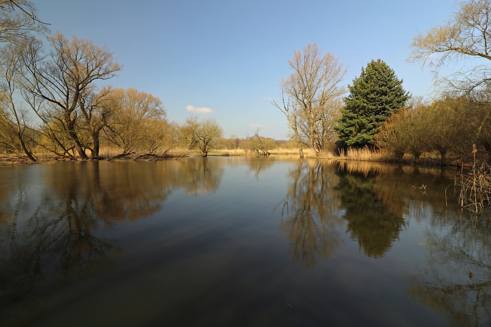 Spiegelglattes Wasser