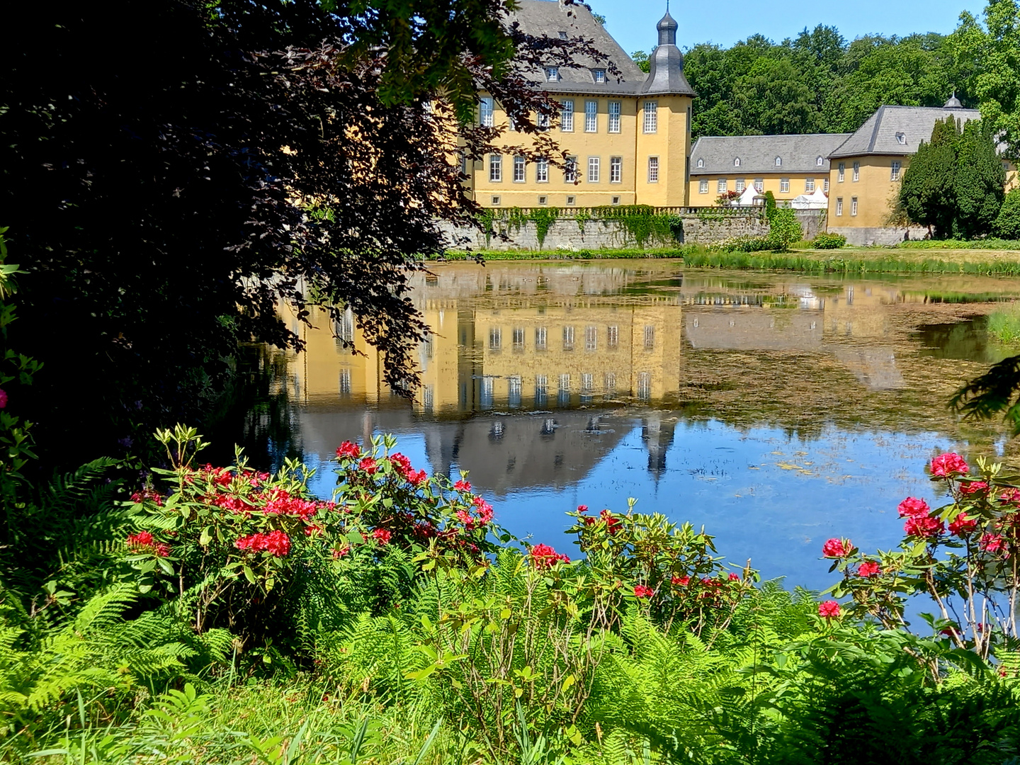 Spiegelgrüße am Dienstag