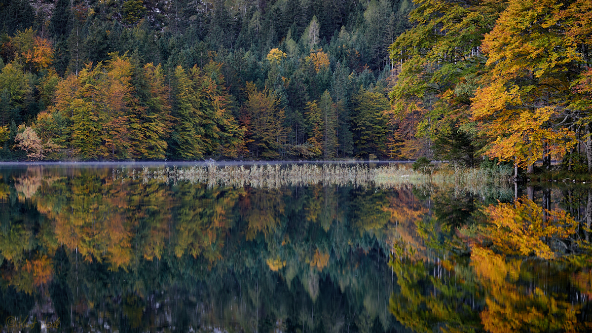 Spiegelherbst