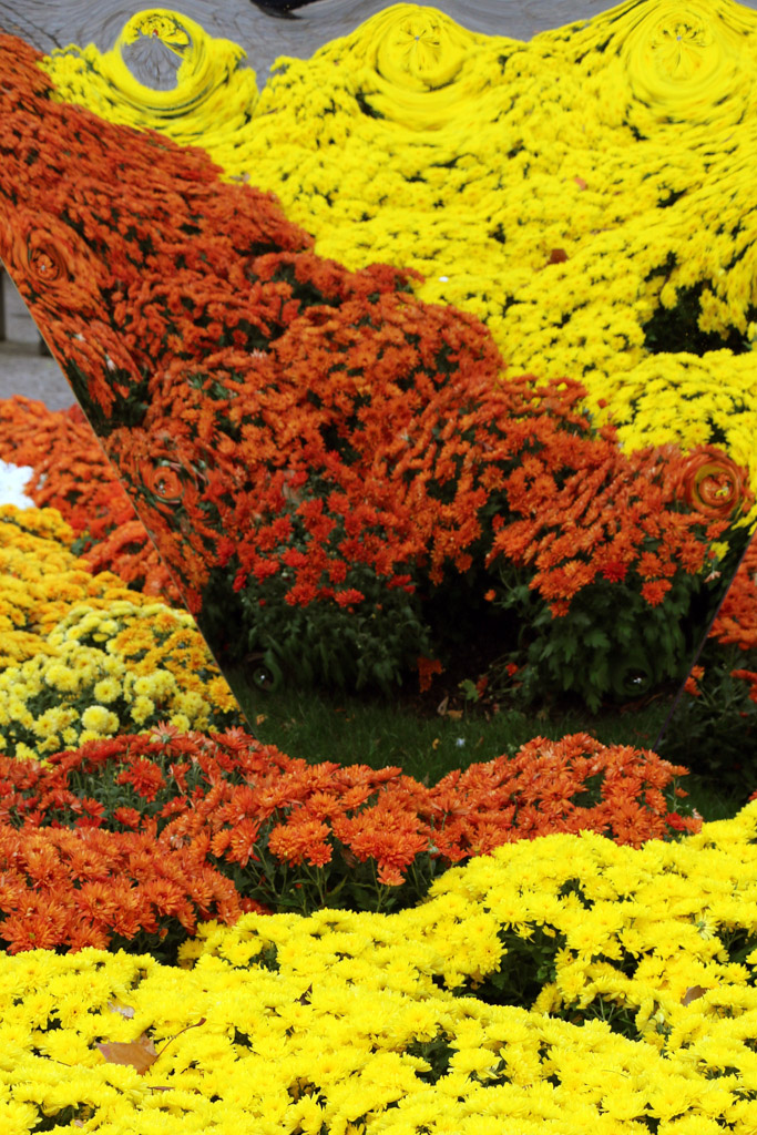 Spiegelimpression von der Chrysanthema in Lahr