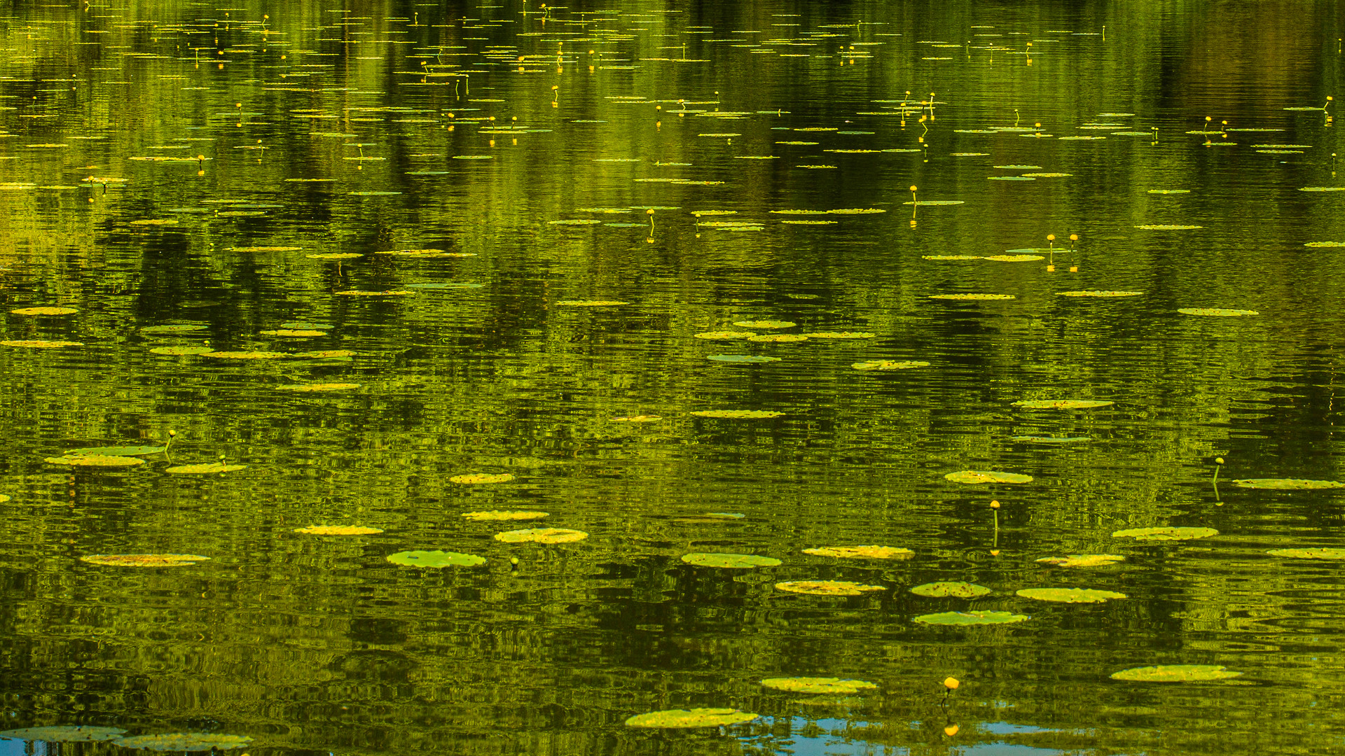 SPIEGELKUNST IM SEE