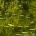 SPIEGELKUNST IM SEE