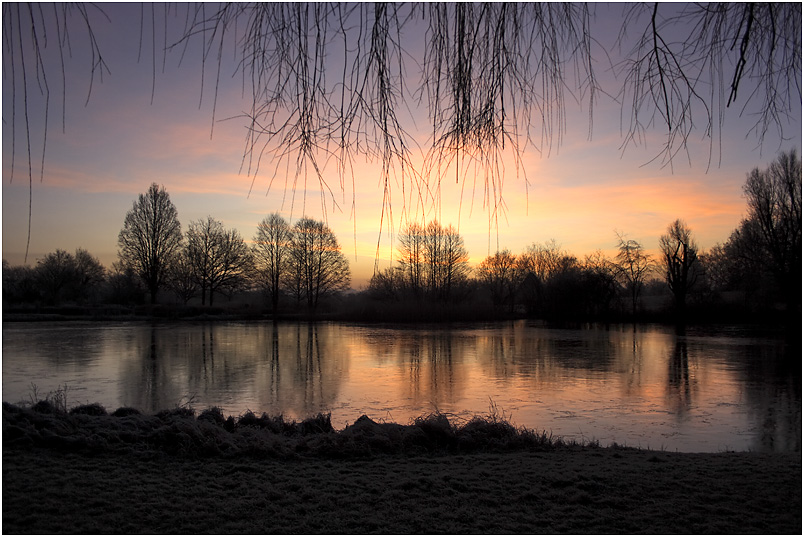 Spiegellandschaft am Weiher