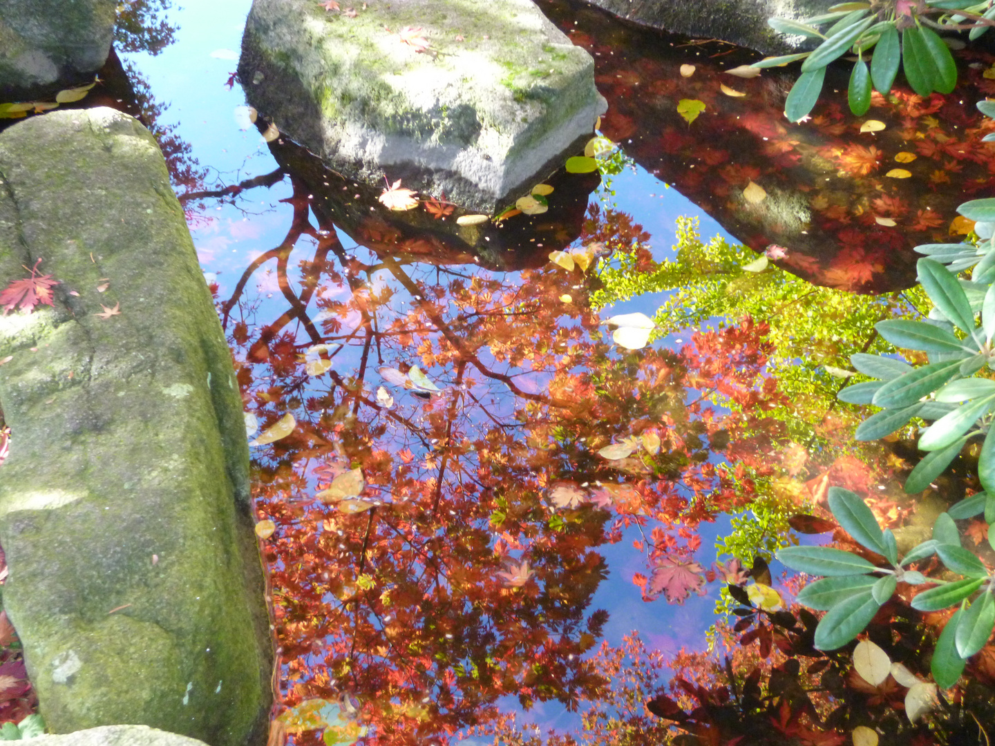 Spiegellung am Wasser Steingarten.