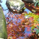 Spiegellung am Wasser Steingarten.