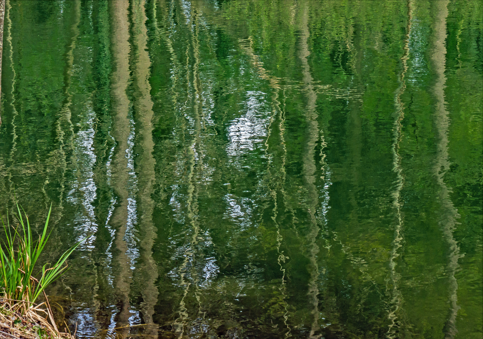 Spiegelmalerei im See... 