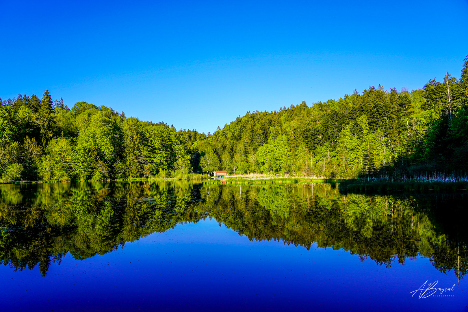 Spiegeln in Hackensee