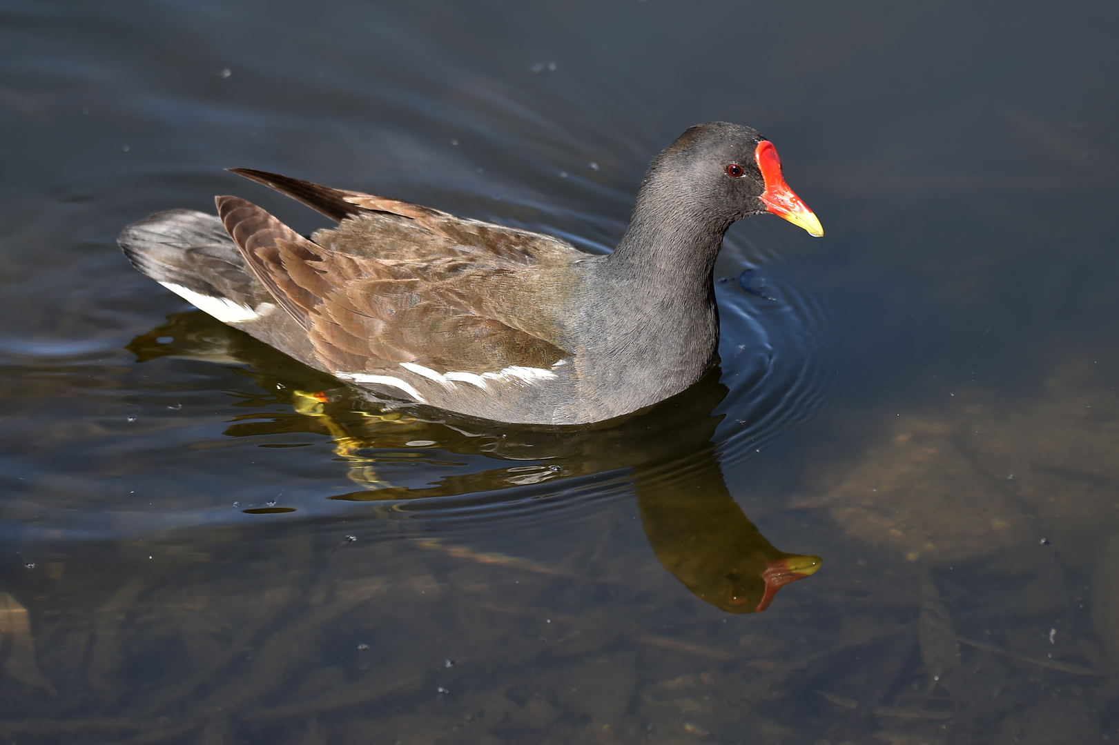 Spiegelnd klares Wasser