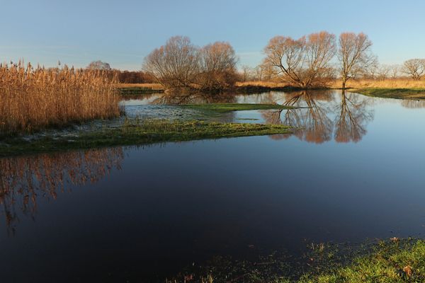 Spiegelnde Landschaft