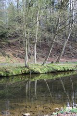 Spiegelnde Niste bei der Abtei Marienstatt