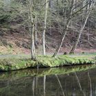 Spiegelnde Niste bei der Abtei Marienstatt