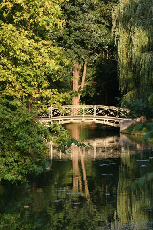 Spiegelnde Parklandschaften