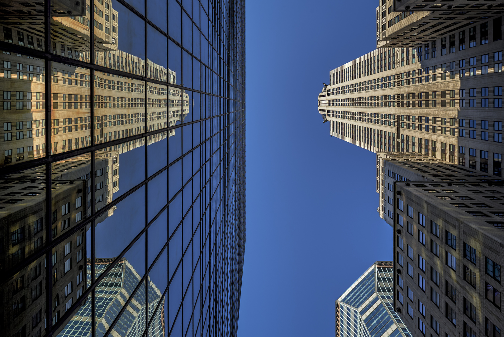 Spiegelnde Schönheit