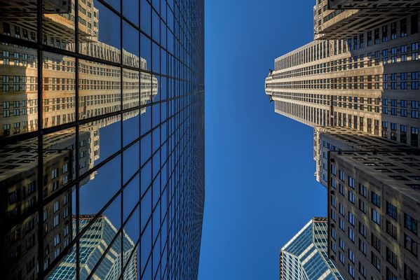 Spiegelnde Schönheit