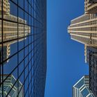 Spiegelnde Schönheit