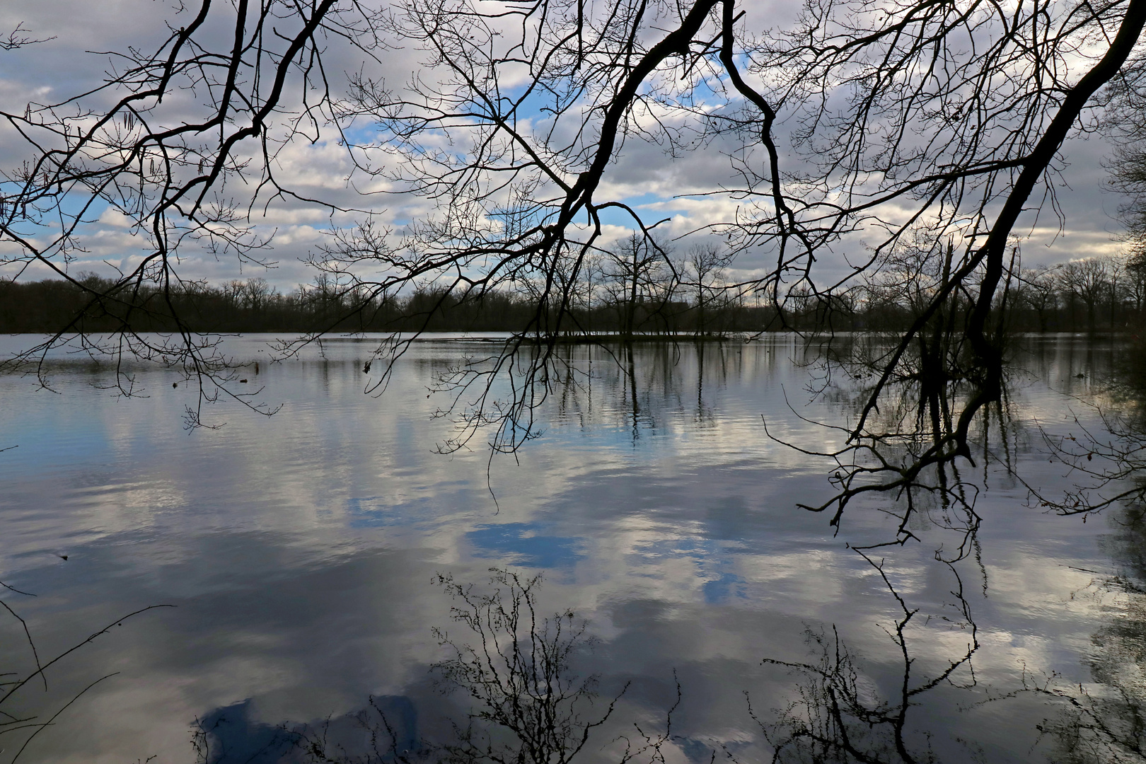 Spiegelnde Wasserfläche