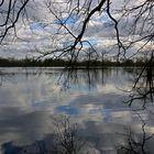 Spiegelnde Wasserfläche