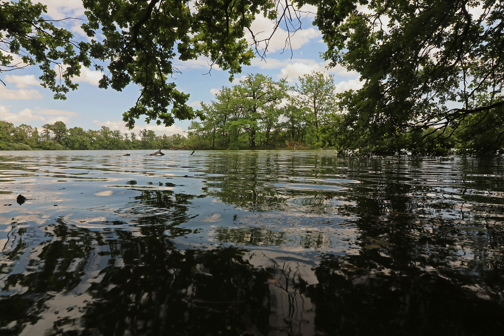 Spiegelnde Wellen