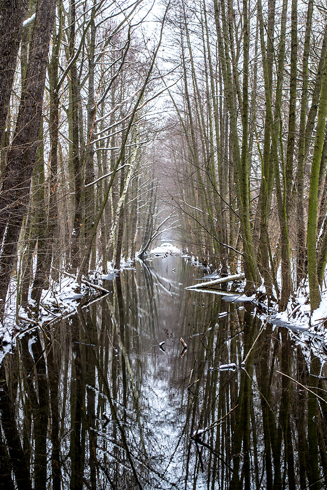 Spiegelnde Winterlandschaft