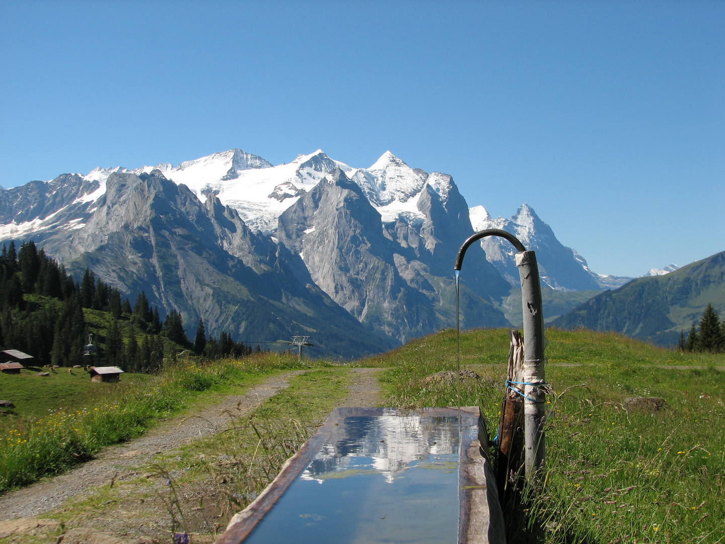 Spiegelnder Ausblick auf der Mägisalp