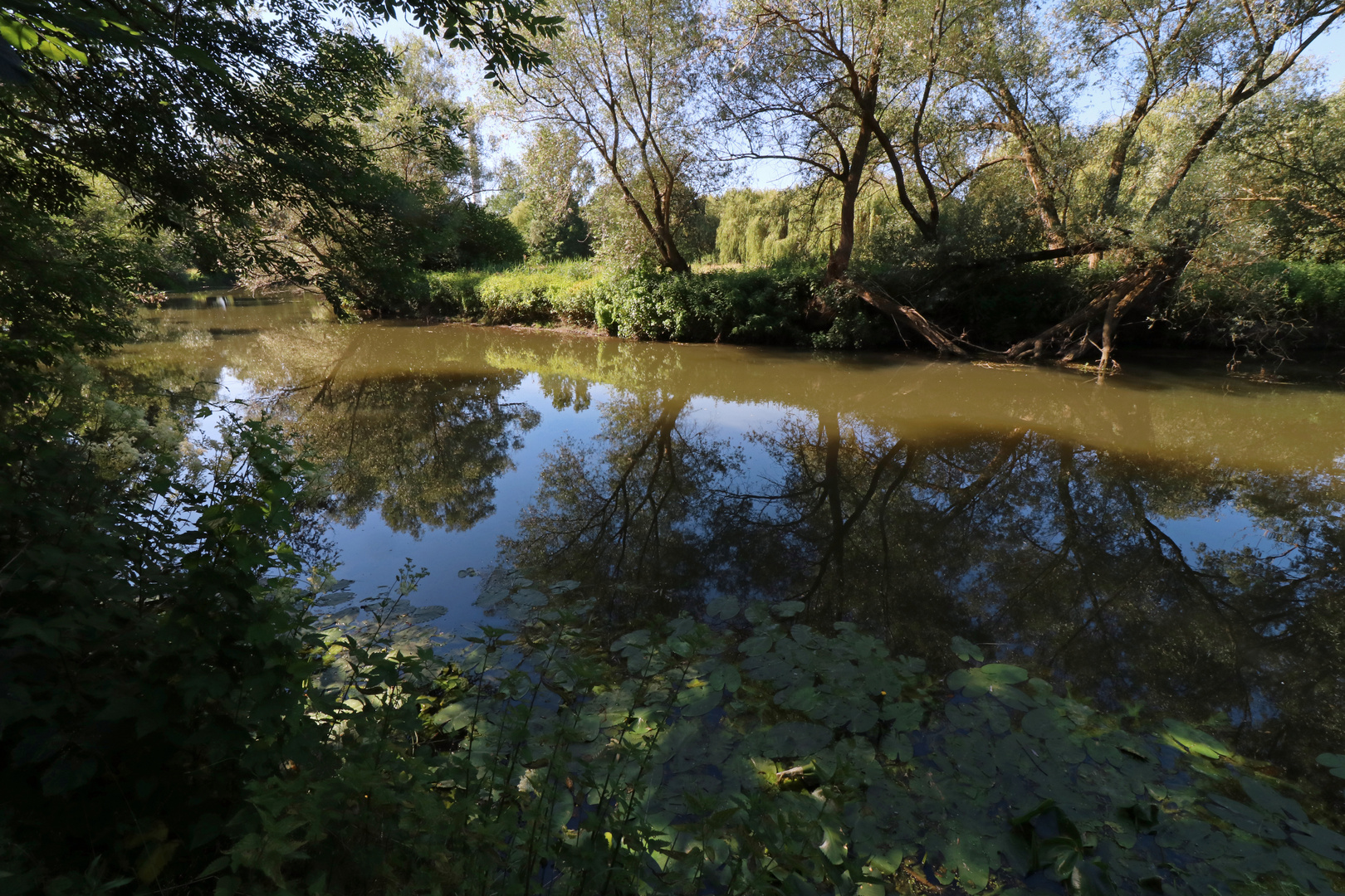 Spiegelnder Fluss