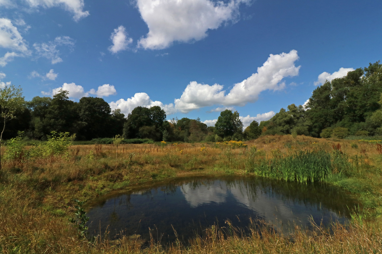 Spiegelnder Kolk