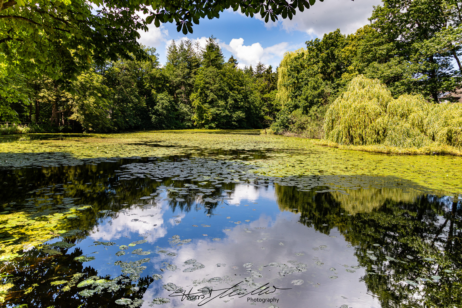 Spiegelnder Mühlenteich