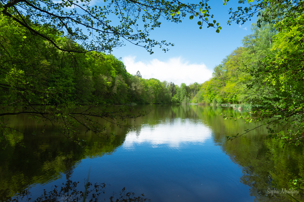 Spiegelnder See im Frühling