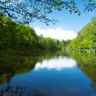 Spiegelnder See im Frühling