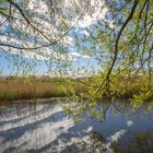 Spiegelnder Sonnenstern