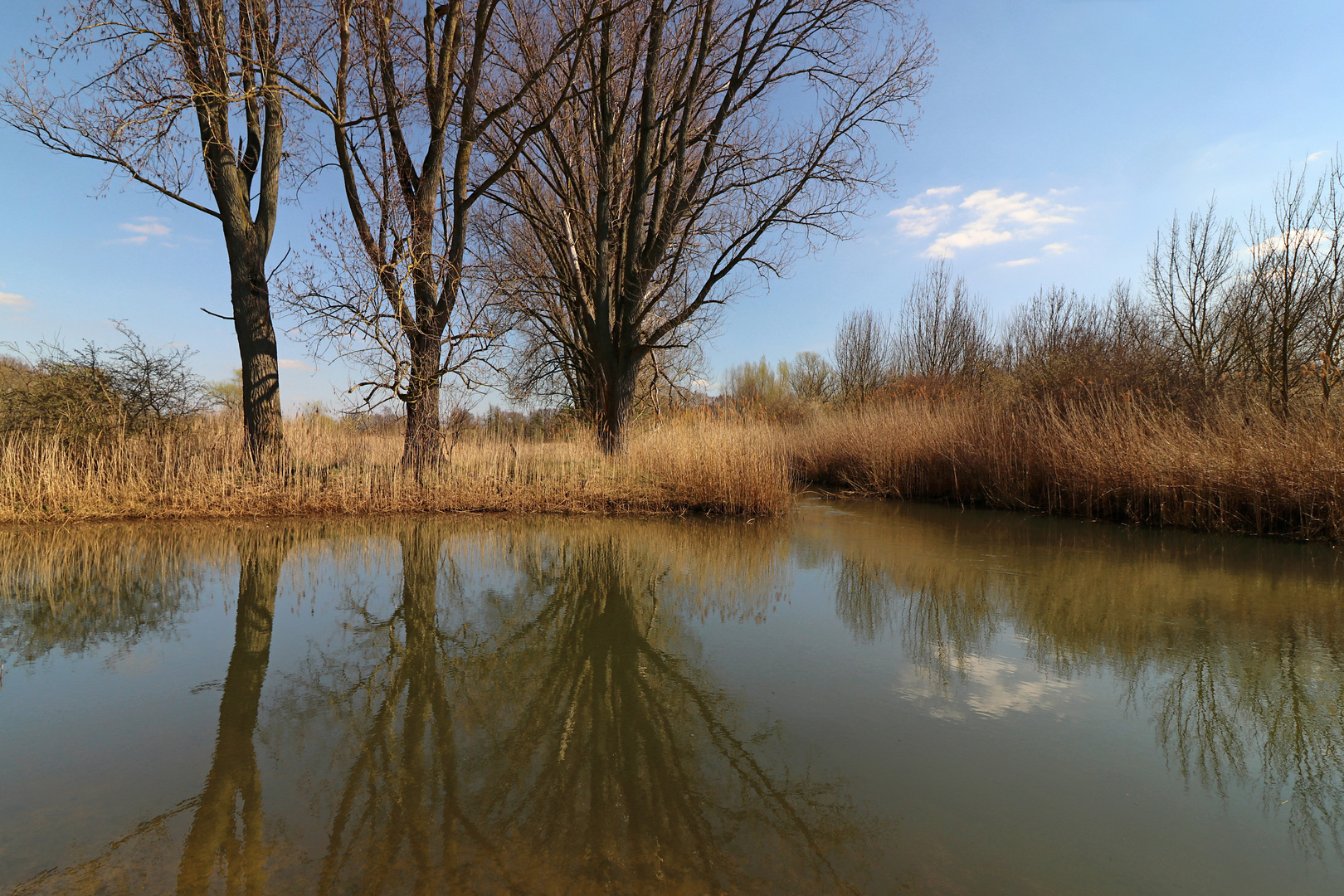 Spiegelnder Teich