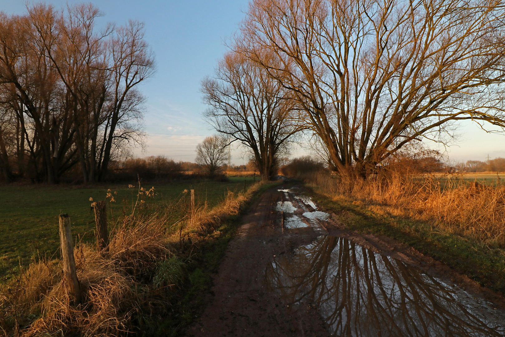 Spiegelnder Weg