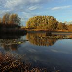 Spiegelndes Regenwasser