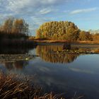 Spiegelndes Regenwasser