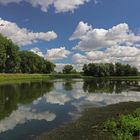 Spiegelndes Wasser und Gänseschar