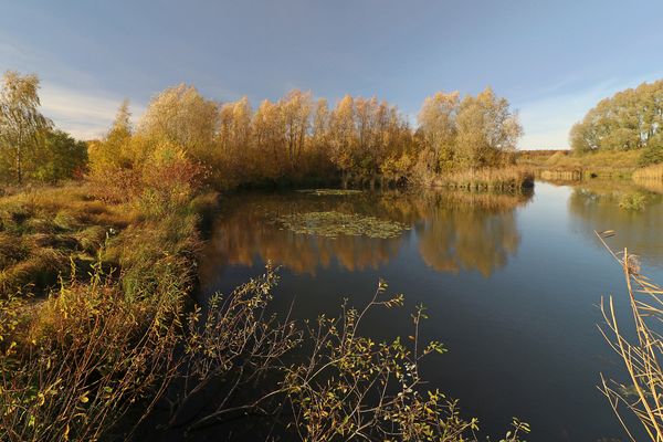 Spiegelndes Wasserbecken