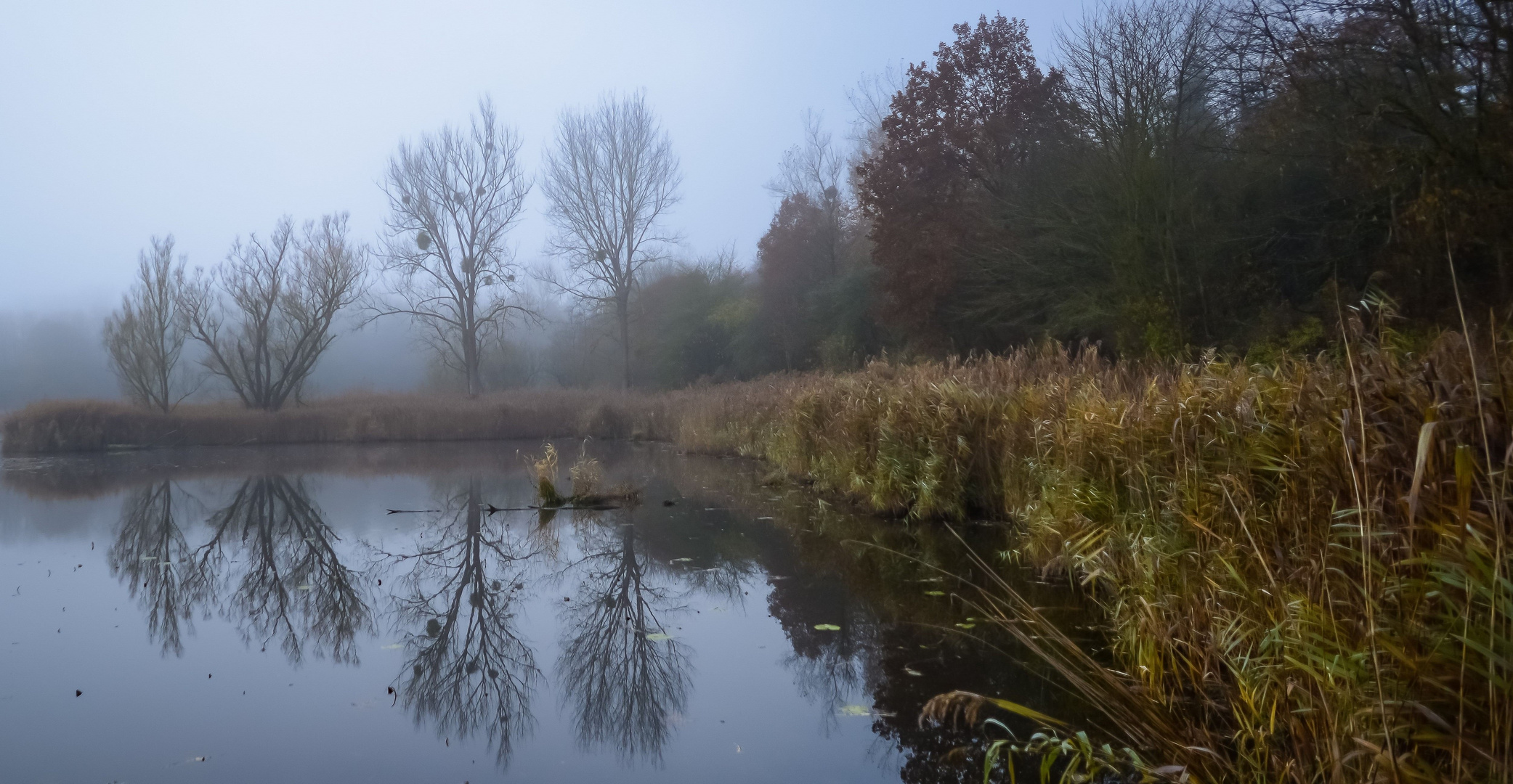 Spiegelnebel