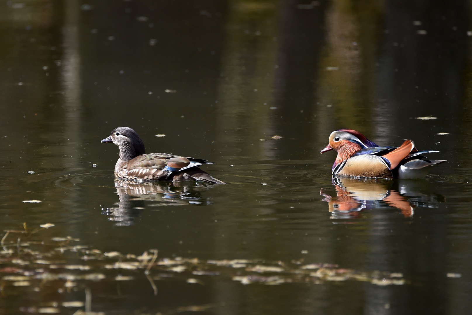 Spiegelpärchen