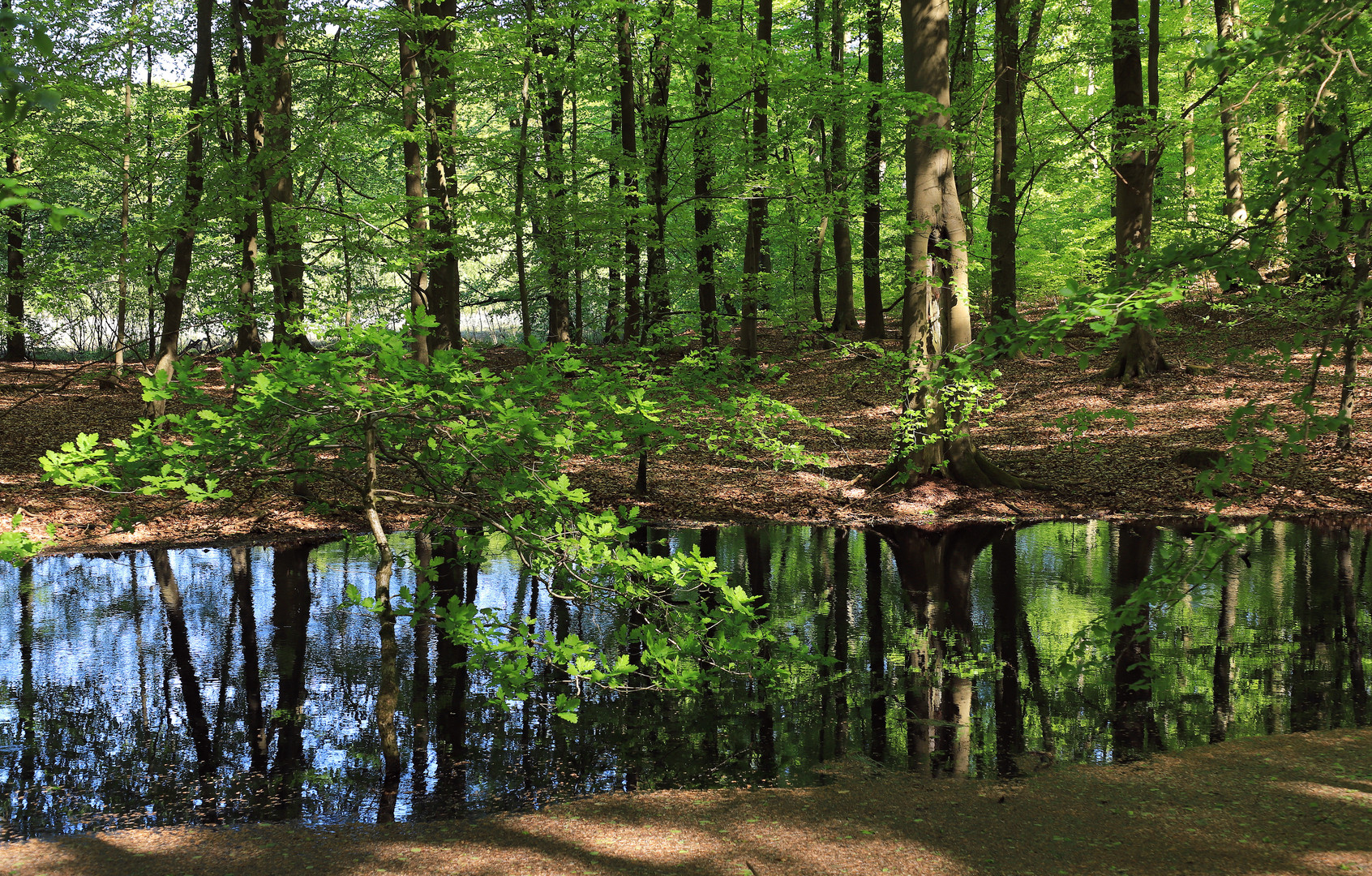 spiegelsee