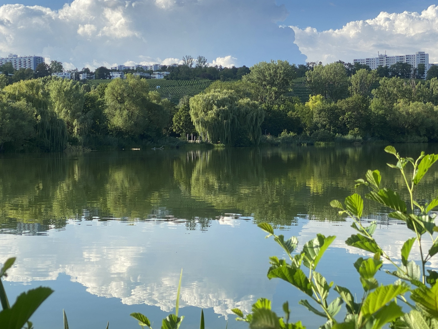 Spiegelsee