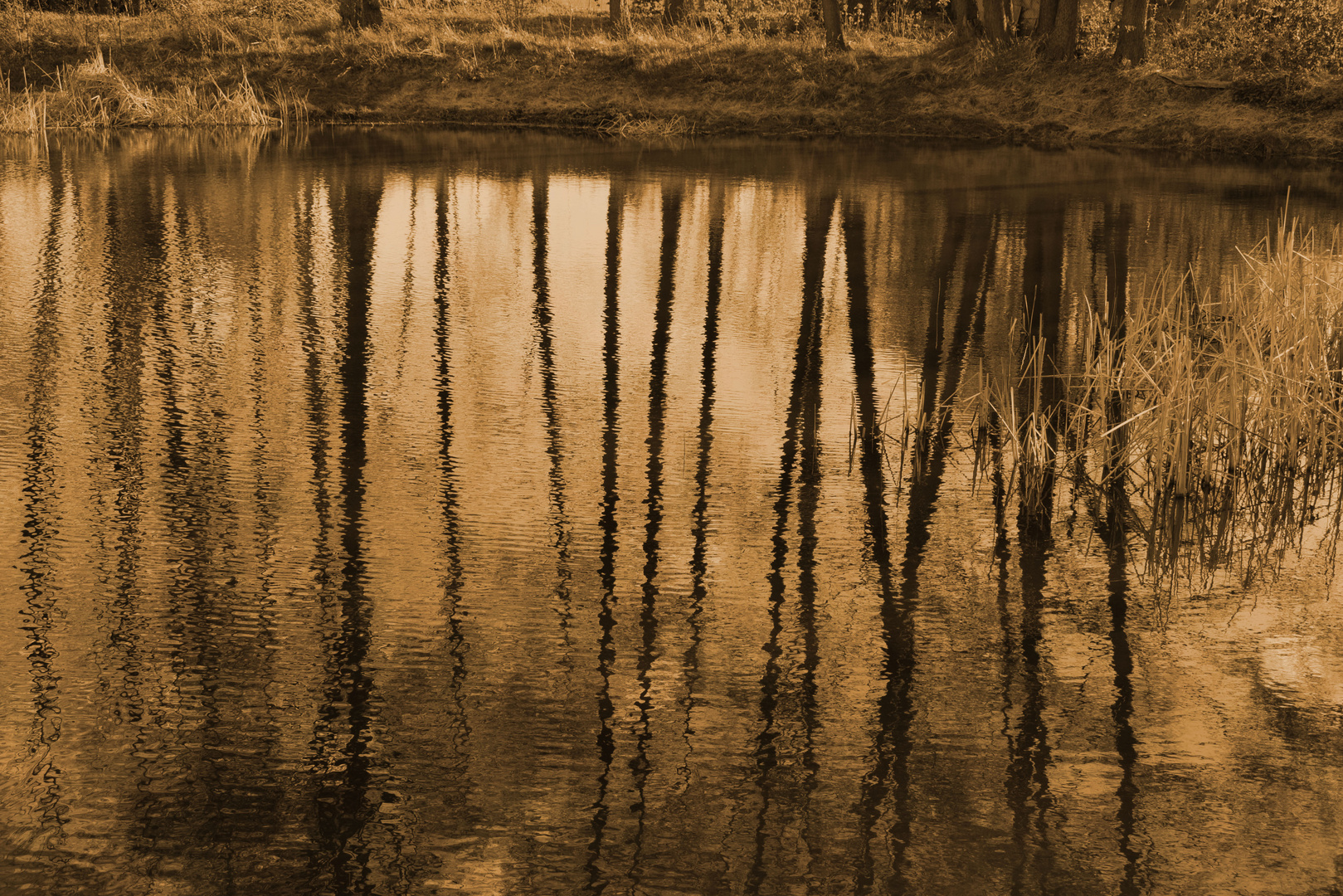 Spiegelsee