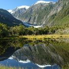 Spiegelsee am Franz Josef Gletscher